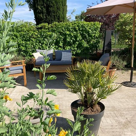 Bed and Breakfast Le Petit Cochon Valence-sur-Baise Экстерьер фото