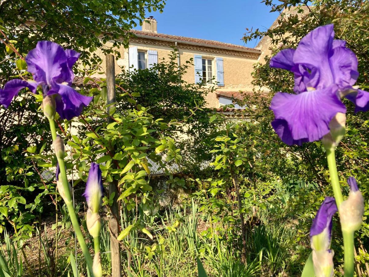 Bed and Breakfast Le Petit Cochon Valence-sur-Baise Экстерьер фото