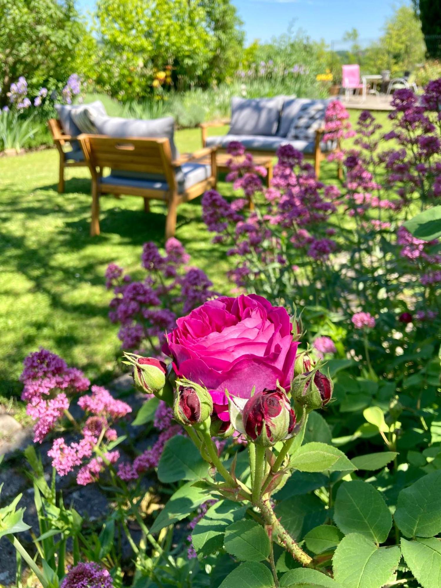 Bed and Breakfast Le Petit Cochon Valence-sur-Baise Экстерьер фото